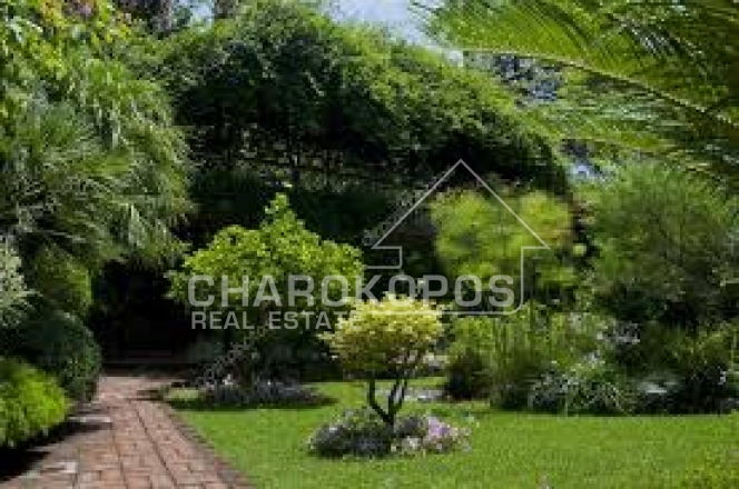 property-img