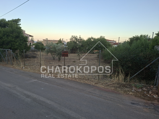 property-img