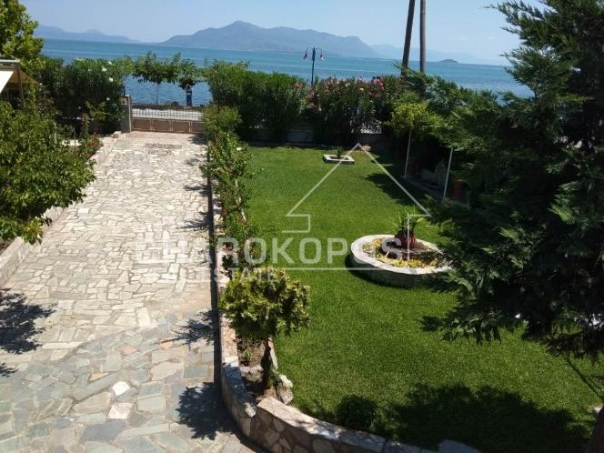 property-img
